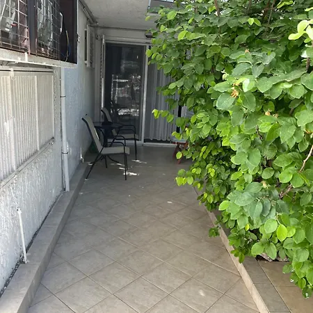 Andres House